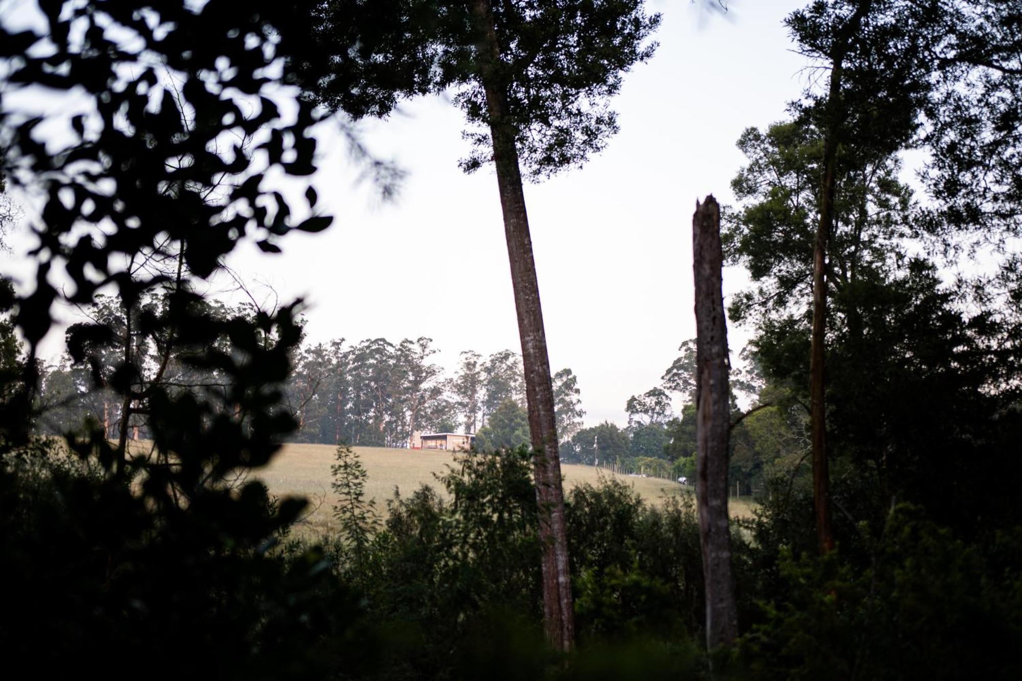 Oakhurst Farm Cottages Wilderness Exteriér fotografie