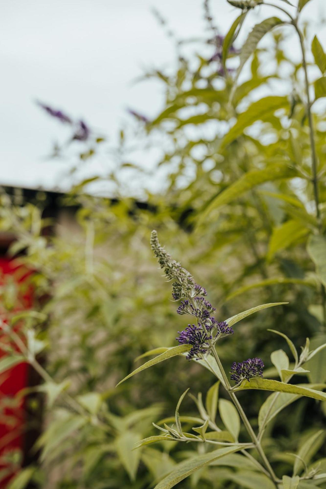 Oakhurst Farm Cottages Wilderness Exteriér fotografie